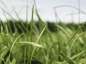 Protaplus_header