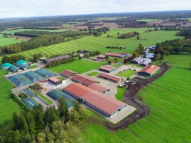 Challenge&solutions_header_leading farm Germany