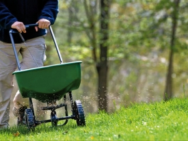 fertilizer grass