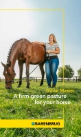 Horse Master