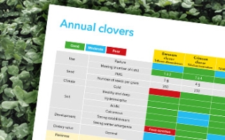 Download Annual Clover Overview