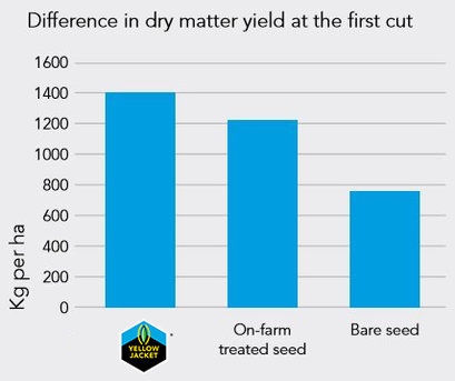 Yellow Jacket_Difference_in_dry_matter_yield_at_the_first_cut