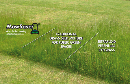 Image-MowSaver-comparisons