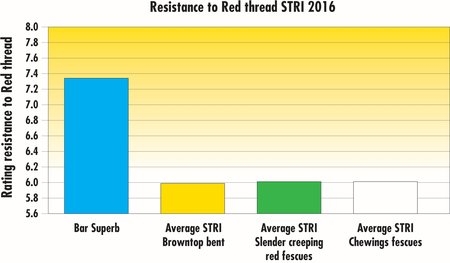 STRI2016_BarSuperb_RedThread_EN