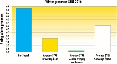 STRI2016_BarSuperb_WinterGreenness_EN