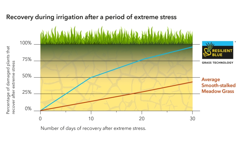 Graph-Resilient-Blue-recovery