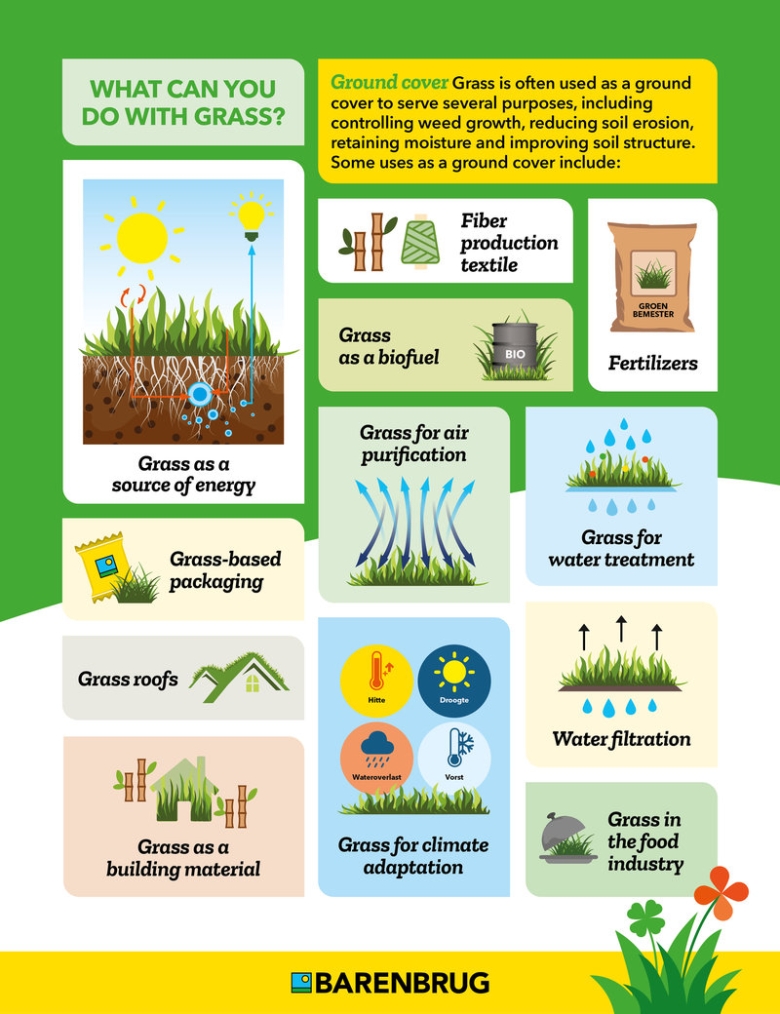 Infographic_Over_Gras_EN_2024.jpg