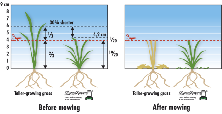 GRAPH_Turf_INT-ENG_MowSaver.png