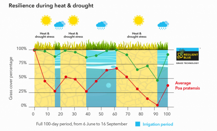 Resilience during heat&drought
