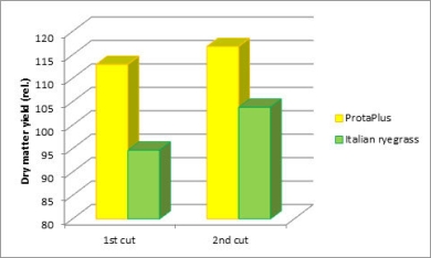 High dry matter yield Protaplus