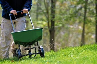 fertilizer grass