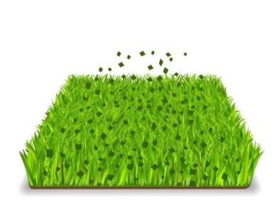 Gras_mulchen (1).jpg