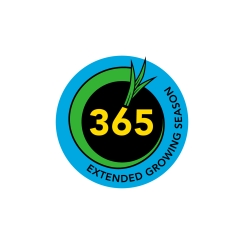 365