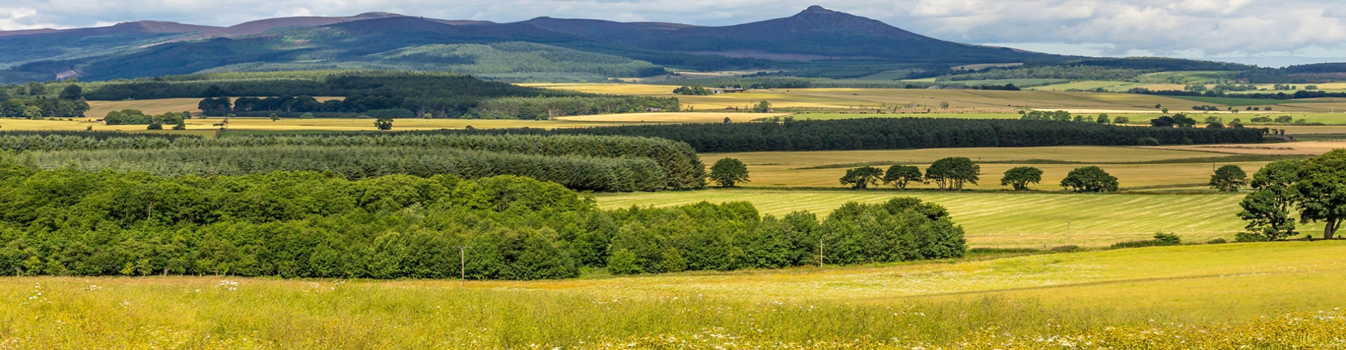 FarmingScotland