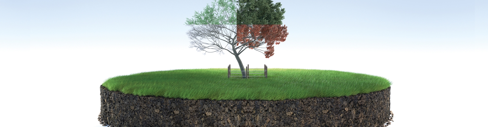 Pasture 365