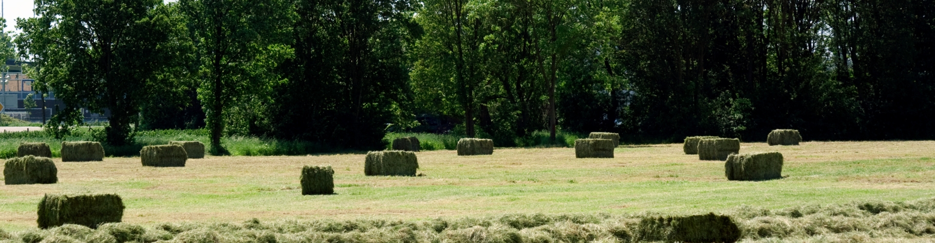 Hay Master