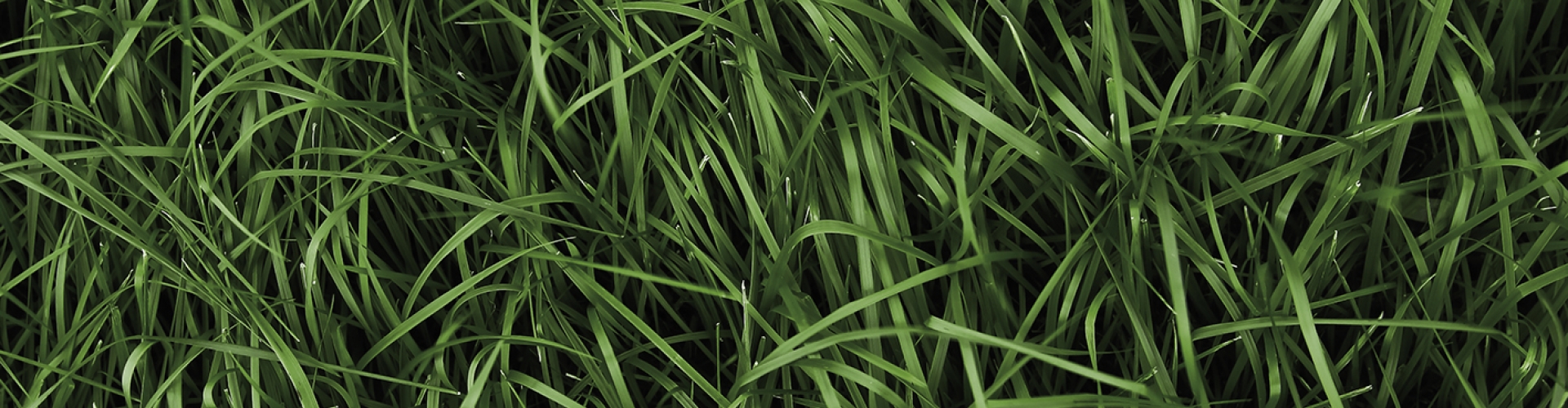 Header nutrifibre mineral efficient