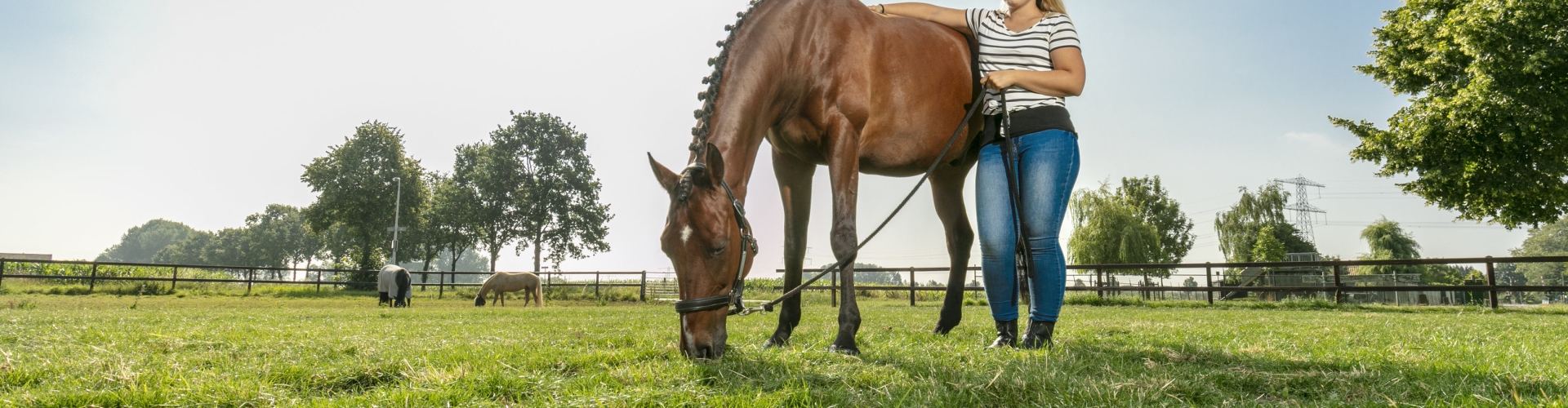 foto_horse_master_aniek