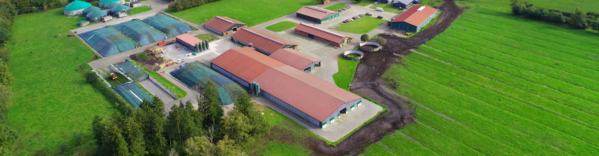 Challenge&solutions_header_leading farm Germany