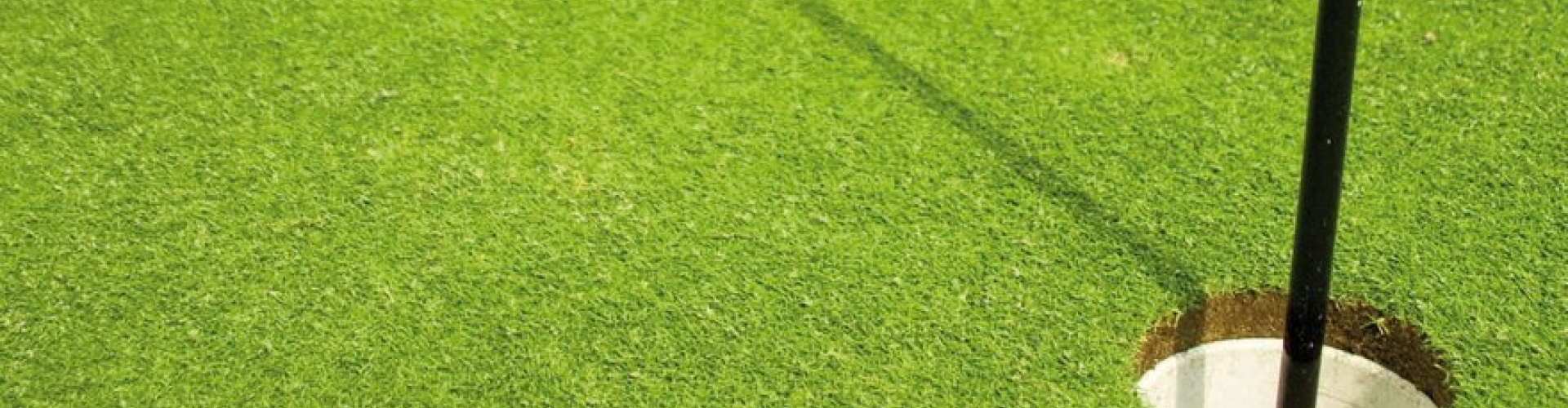 Bar Fescue Header