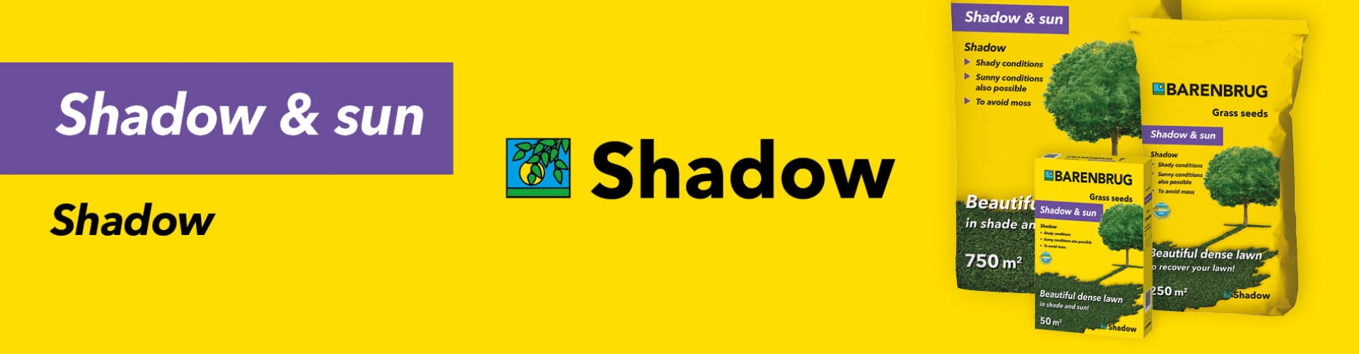 HEADER_Shadow