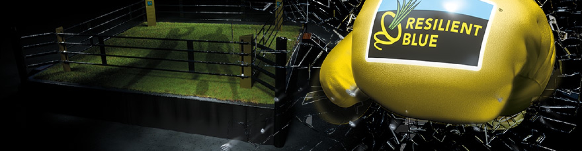 RB Sport Header