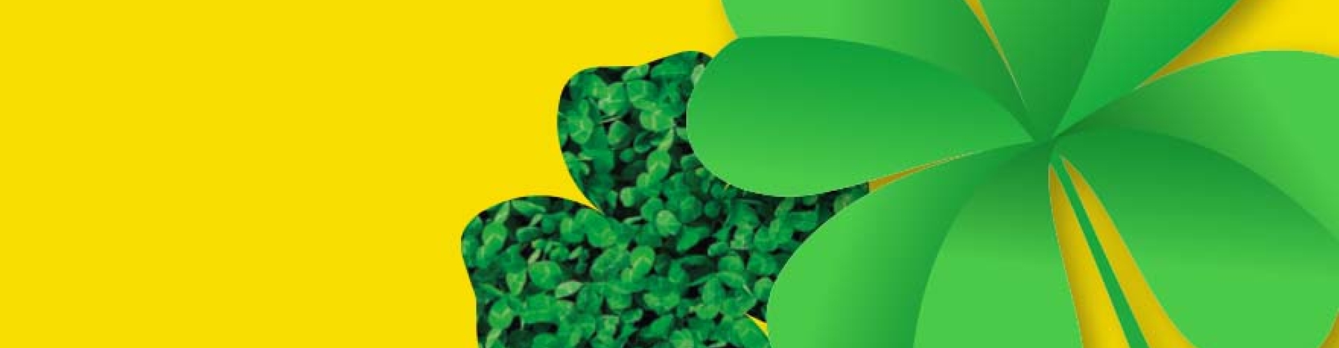Header_Lawn Clover