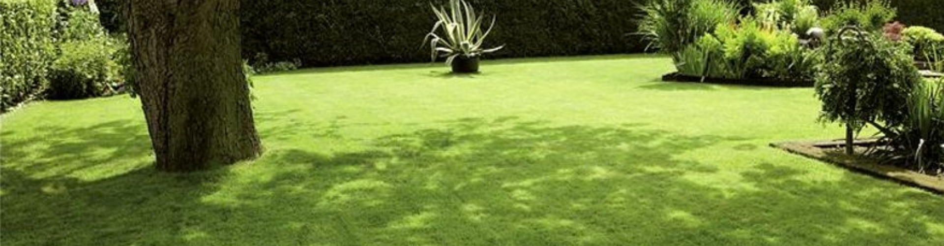 Shadow Header