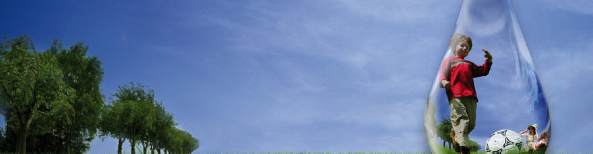 WaterSaver_Lawn Header