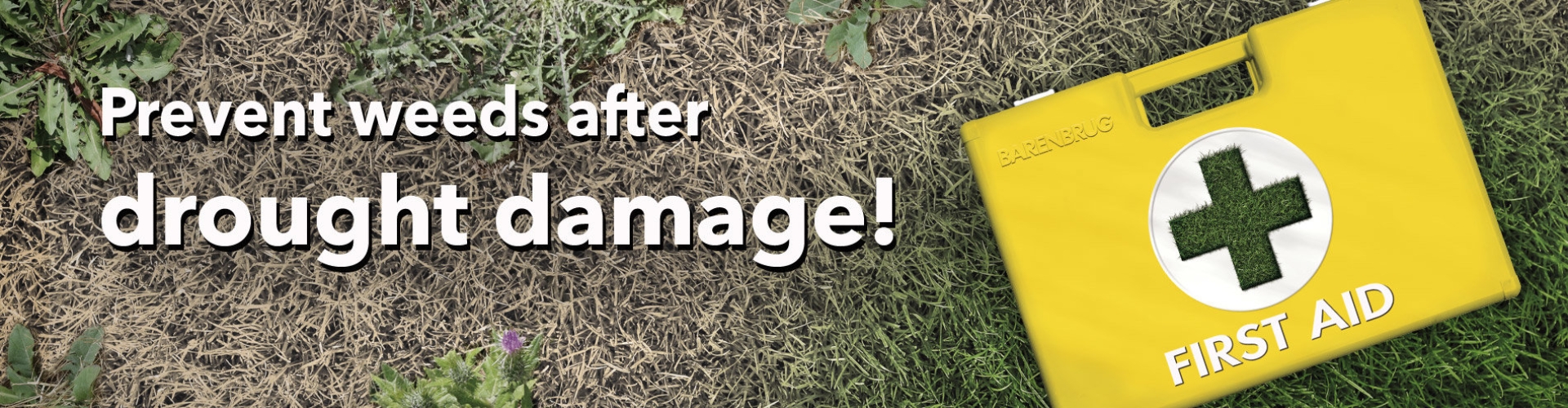 HEADER_ENG-First-Aid_Weeds-500.jpg