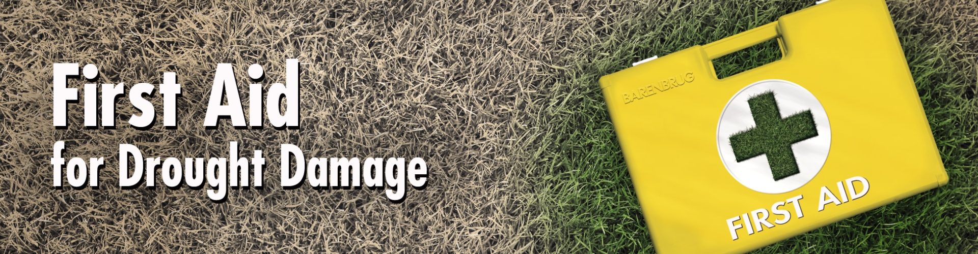 first aid header