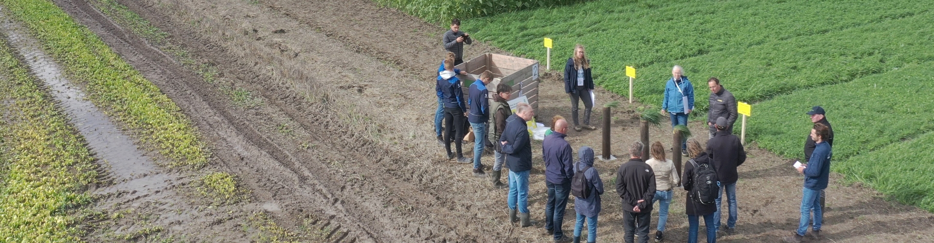 Green Manure Day