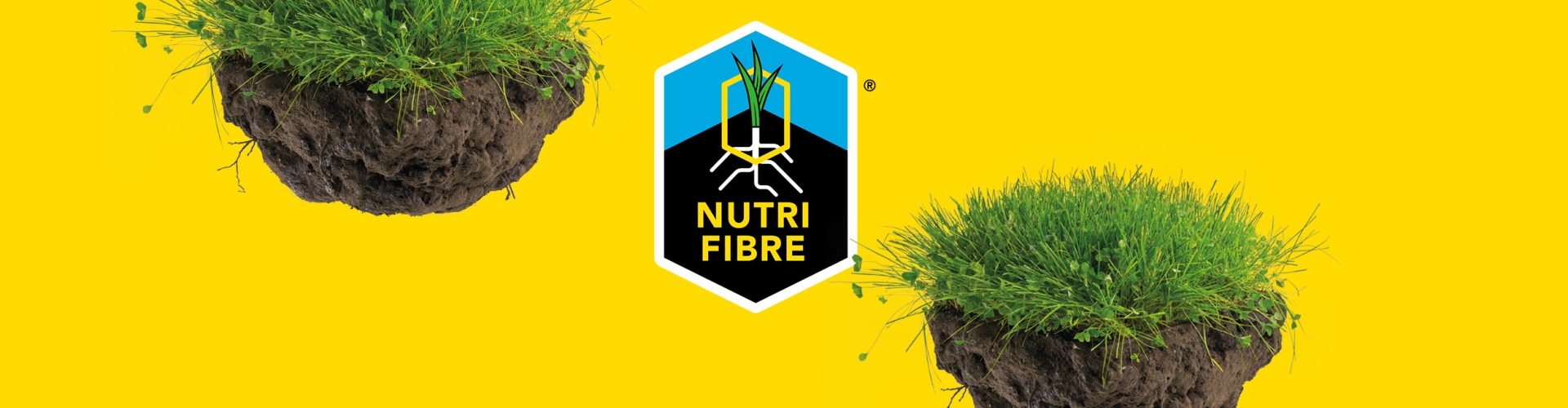NutriFibre - Root to sustainable farming
