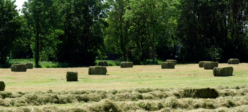 Hay Master