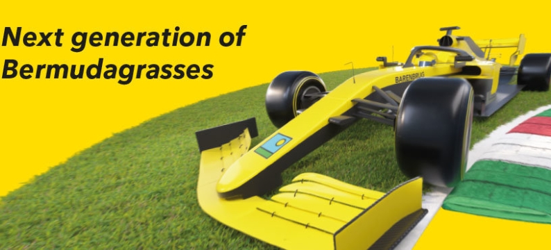 HEADER_Monza-Turf