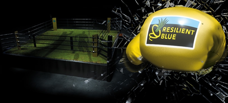 RB Sport Header