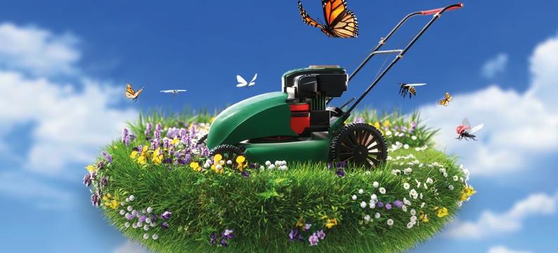 Happy Lawn - Spice up your lawn