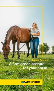 Horse Master