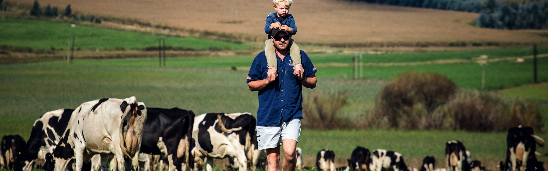 BAR SA Dairy Farm 9.jpg