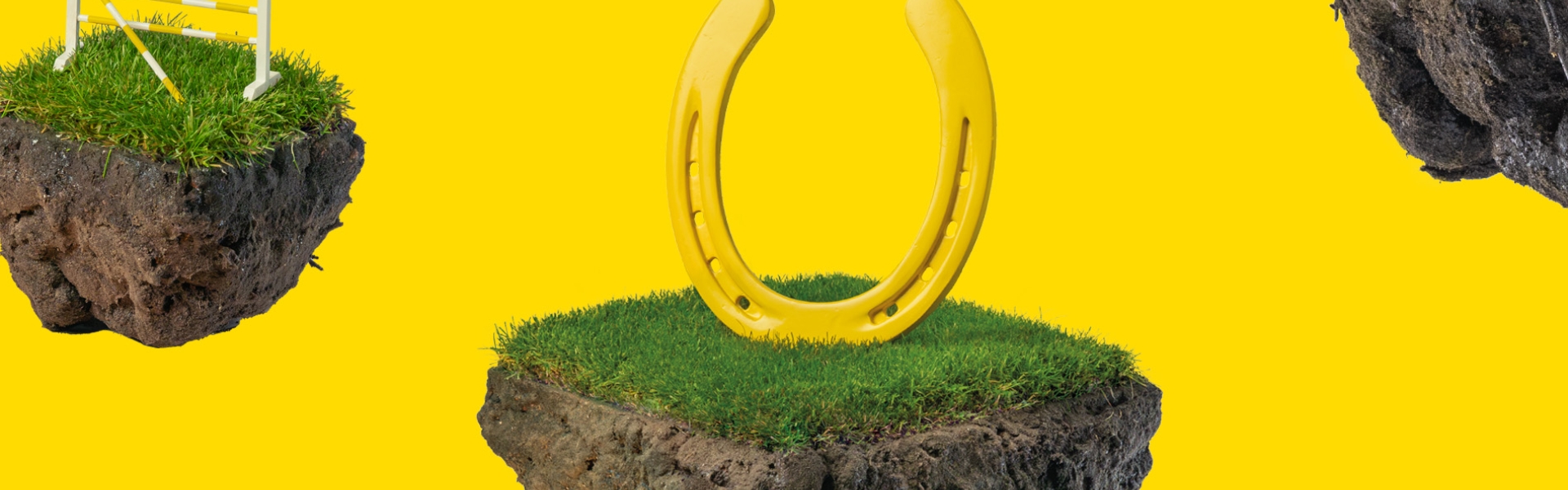 Portal paardenhouderij 
