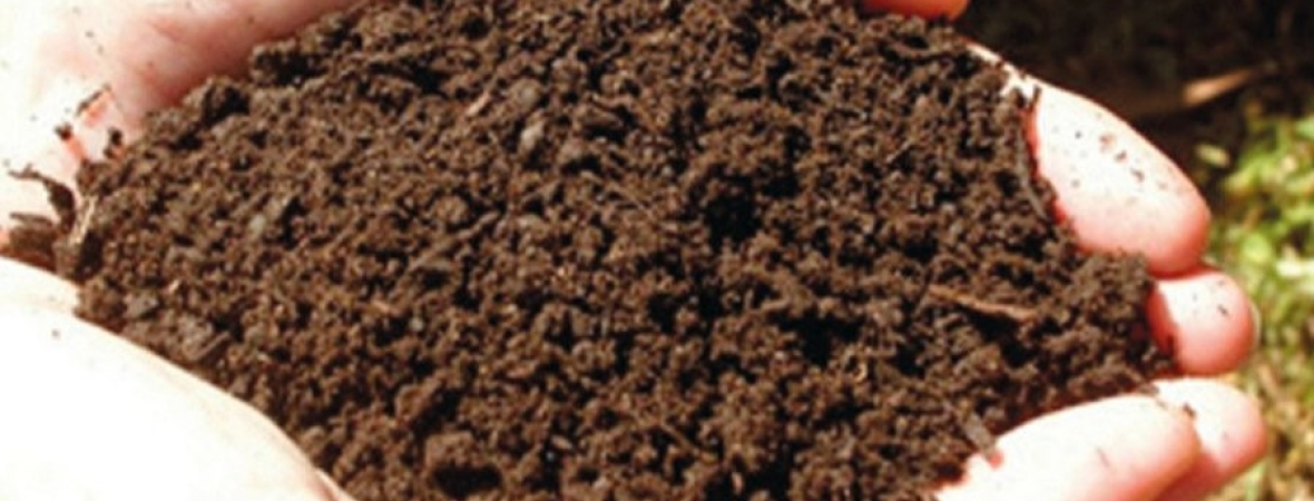 2024_Project SoilproS.jpg