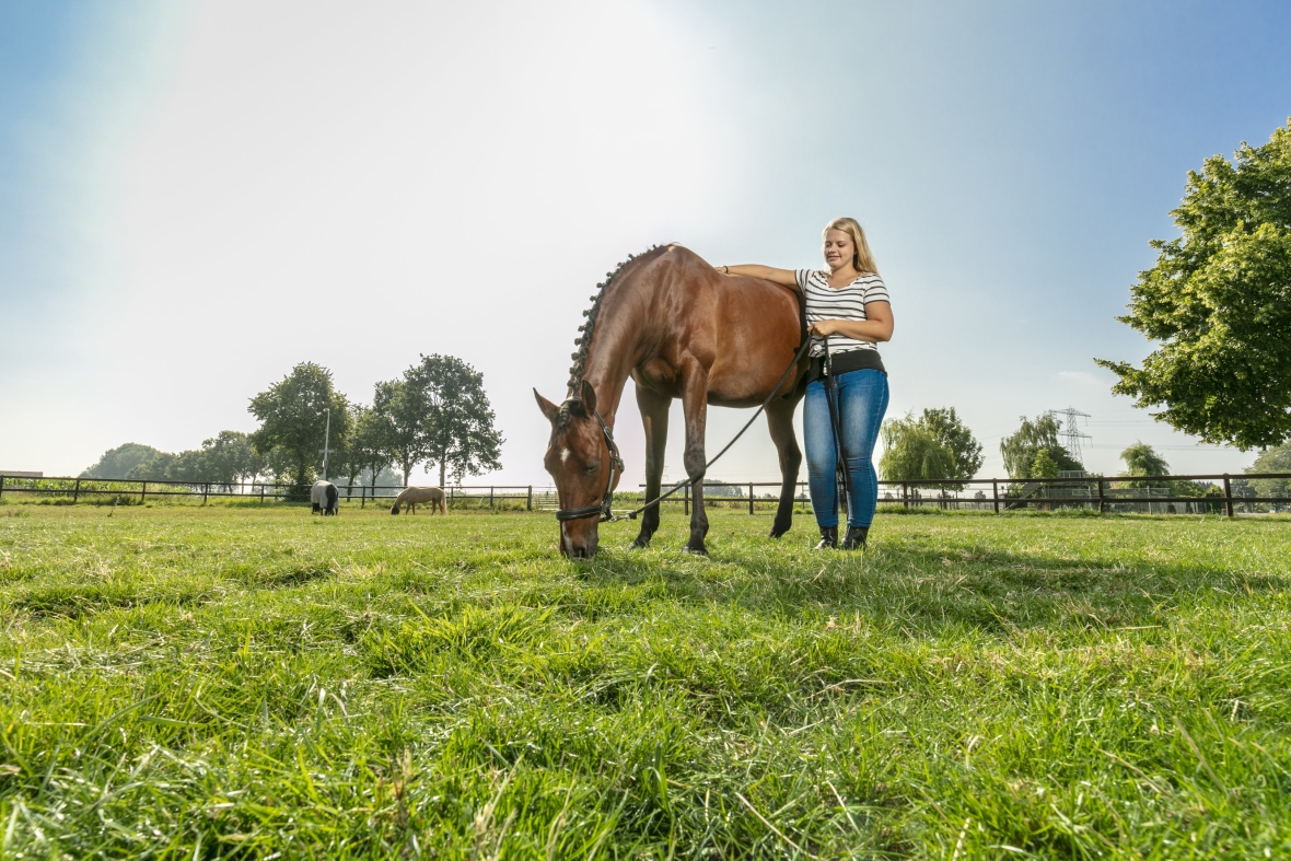 Horse master Aniek