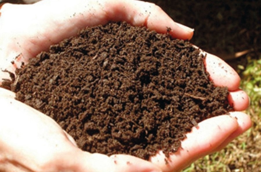 2024_Project SoilproS.jpg