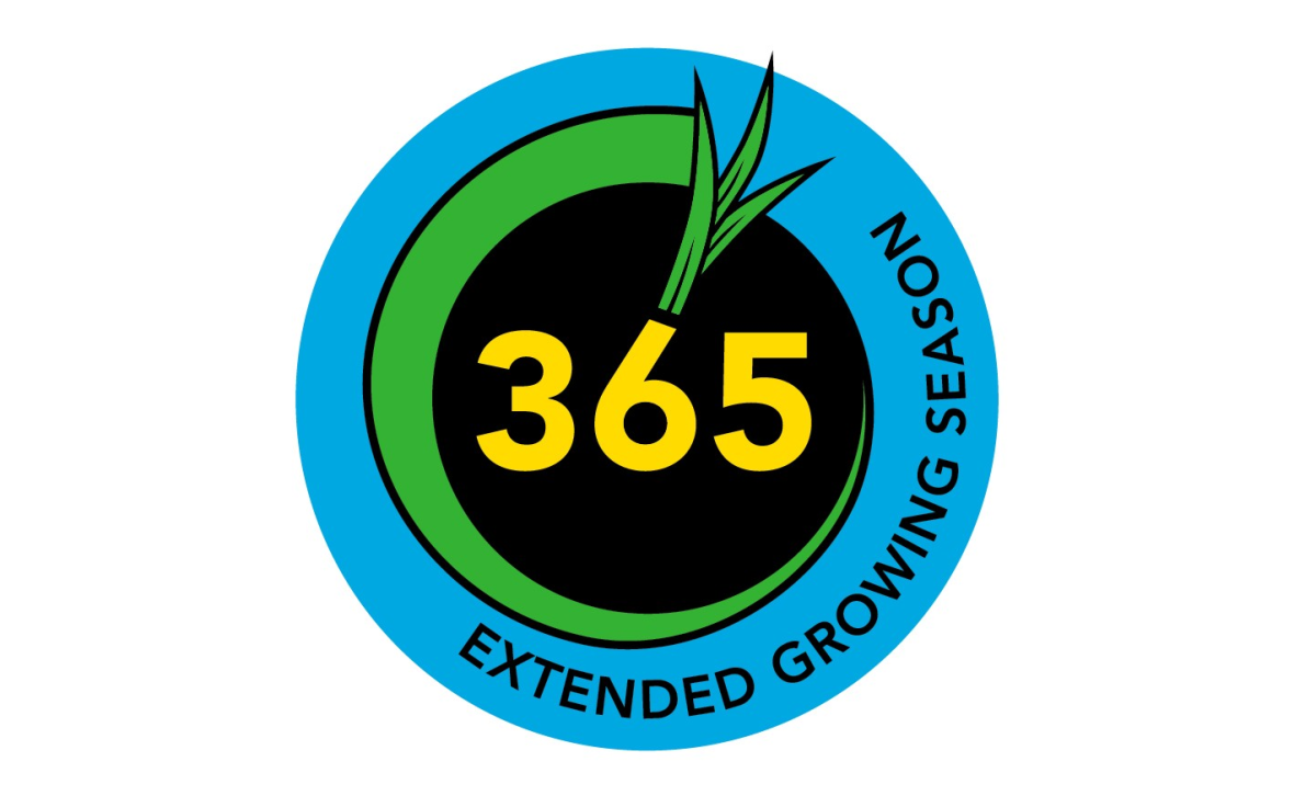 365