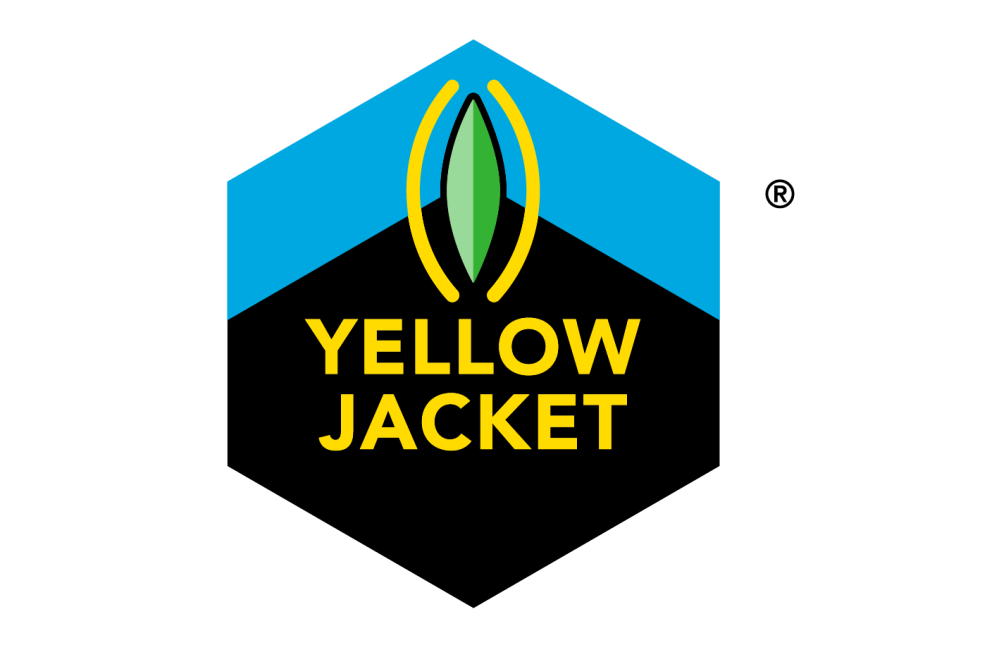 yellow jack