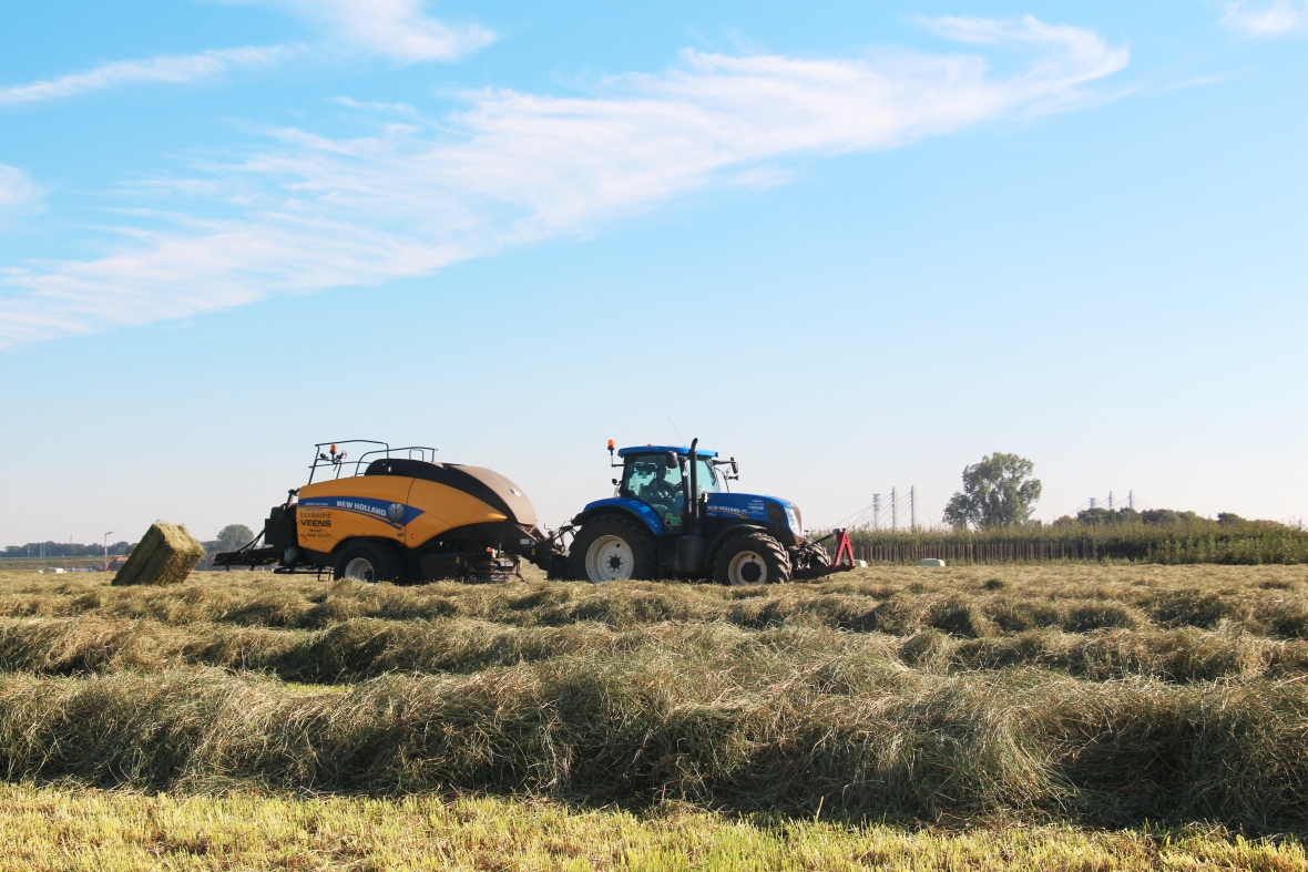 Hay Master