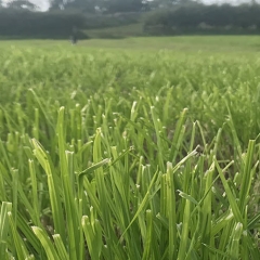 reseeding