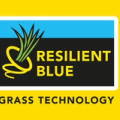 logo resilient blue