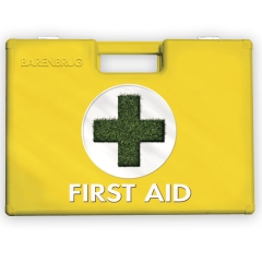 first aid visual link