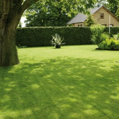Lawn Header